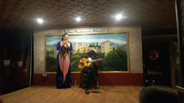 570 granada flamenco show